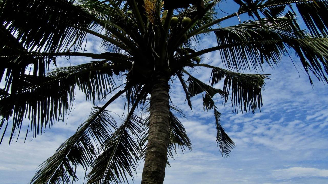 Dikaloha Surfschool And Stay Airsatang Exterior photo